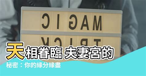 天相 夫妻宮|【天相 夫妻宮】天相眷臨 夫妻宮的秘密：你的緣分緣。